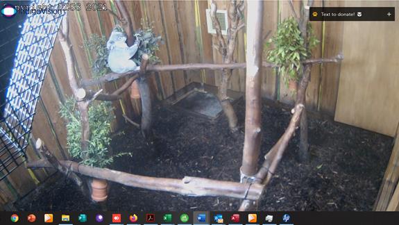 PPMW | Take 5 Initiative