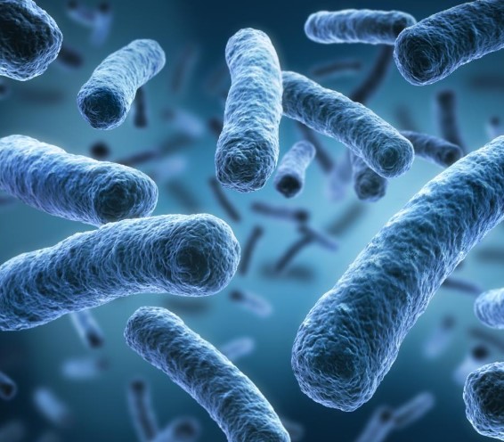 HSENI I Launch of Inspection Campaign on Legionella bacteria