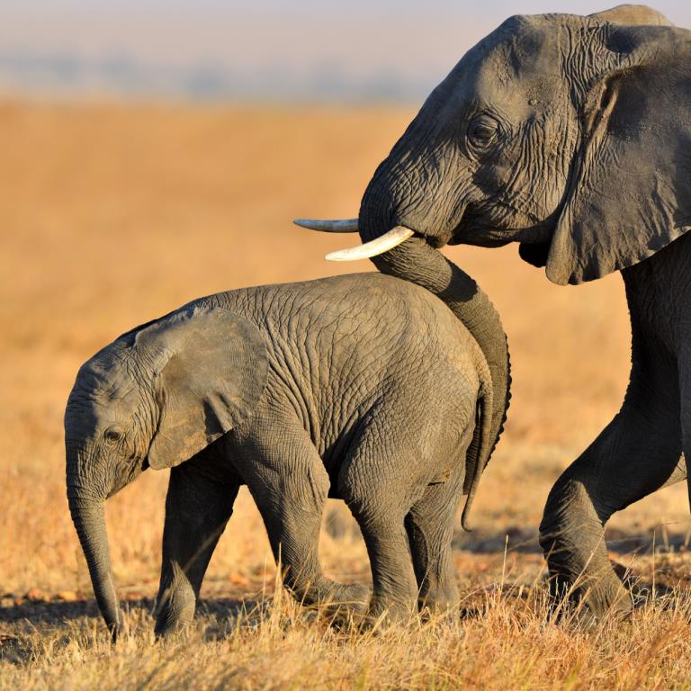 H & S | Using Nudge theory